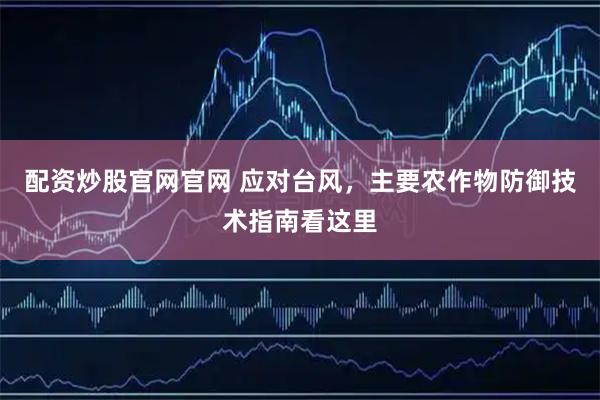 配资炒股官网官网 应对台风，主要农作物防御技术指南看这里